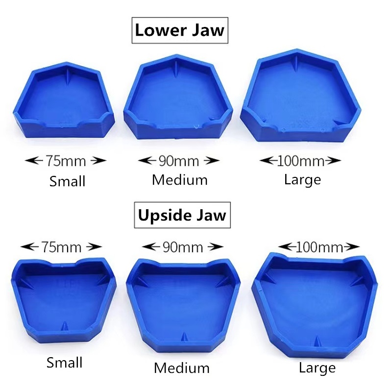 6 buah/set Model gigi dasar pl - Model Kit Tools ulasan dan harga