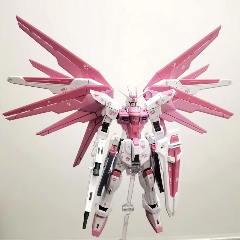 JMS HG 1/144 ZY-06 Freedom Ass - Gundam Model Mg ulasan dan harga